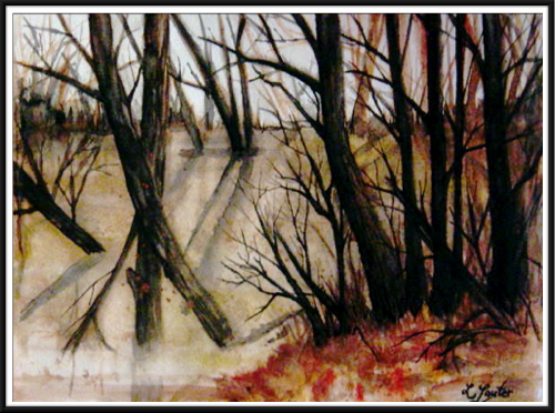 Autumn in Celery Bog 